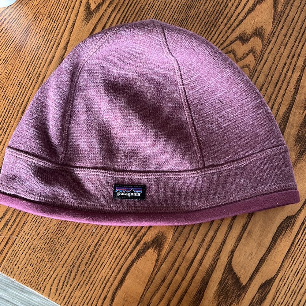 Patagonia winter hat